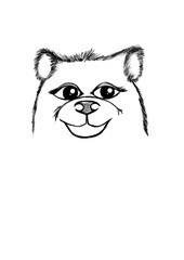 Bear girl, animal from the forest, cartoon character, coloring book for children, isolated imageИллюстрация без названия