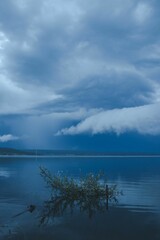 Gloomy seascape view with water reflecting cloudy sky, plant near