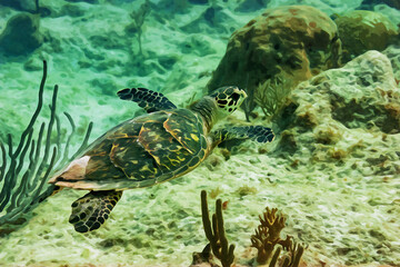 Fototapeta na wymiar Digitally created watercolor painting of green turtle cruising in the waters of Little Cayman