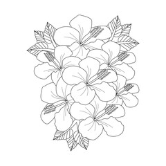 Illustration Of Hibiscus Flower Coloring page Hand Drawn Vector Sketch Line Art