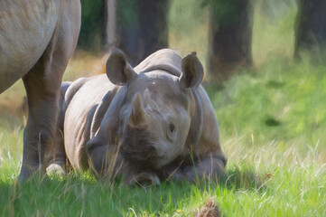 Digital painting of a young black rhinoceros in captivity.