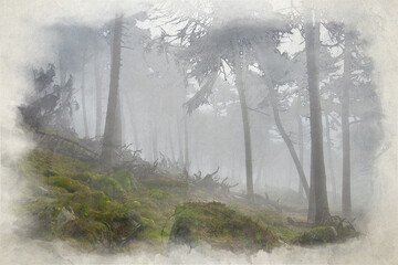 Woodland winter mist and fog digital watercolour painting at The Roaches, Staffordshire.