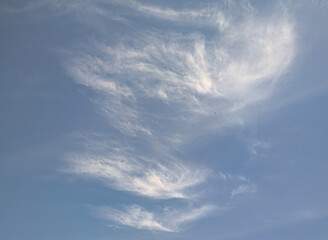 Bird flying in the sky with a very strange blurred clou