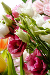 Fototapeta premium Roses