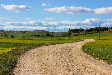 Fototapeta na wymiar Beautiful picturesque winding country road, gravel dirt path goes into a distance in a spring meadow, field. Nice sunny weather. Natural scenery. Spanish landscape with green meadows, blue cloudy sky.