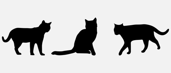isolated black silhouette of a cat, vector collection