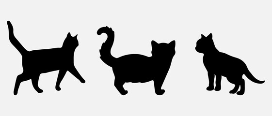 isolated black silhouette of a cat, vector collection