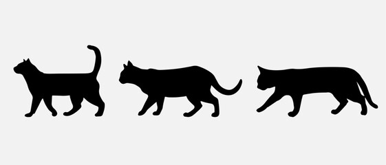 isolated black silhouette of a cat, vector collection