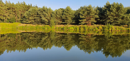 Reflections of trees and bushes in the surface of a calm lake on a sunny summer day near Kurów, Pulawy, Poland