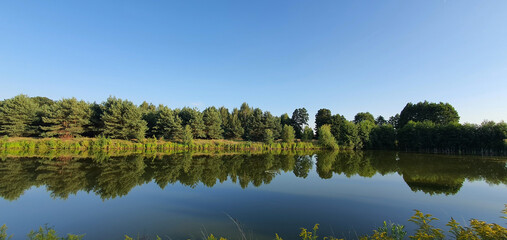 Reflections of trees and bushes in the surface of a calm lake on a sunny summer day near Kurów, Pulawy, Poland