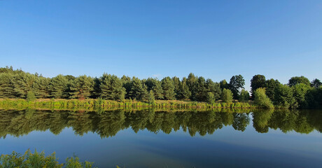 Fototapeta premium Reflections of trees and bushes in the surface of a calm lake on a sunny summer day near Kurów, Pulawy, Poland