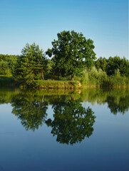 Fototapeta premium Reflections of trees and bushes in the surface of a calm lake on a sunny summer day near Kurów, Pulawy, Poland
