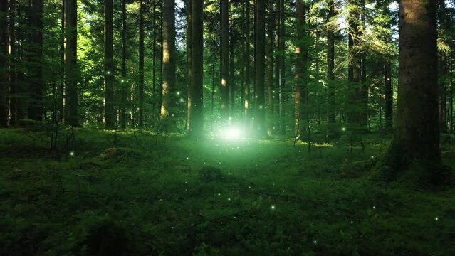  Mystical green fairy tale forest landscape with fireflies.