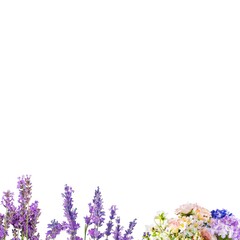 Obraz na płótnie Canvas flowers frame with white background