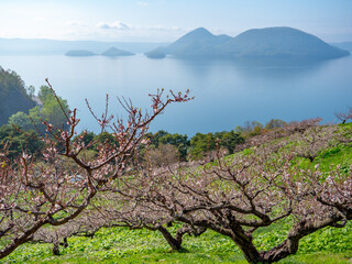 壮瞥公園（北海道有珠郡壮瞥町）
