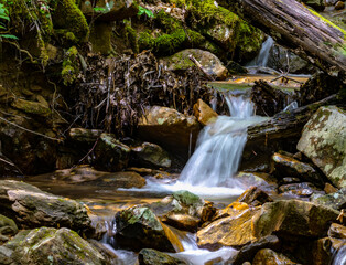 Small waterfall in Frozen Head State Park