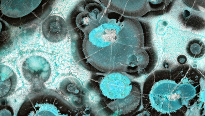 cyan and black turtle agate cracked structure