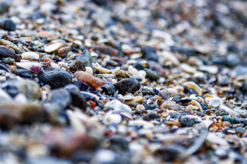 close-up of small sea wet stones and shells