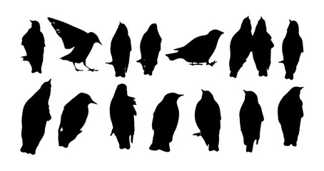 Birds on a wire. Silhouettes of sitting starlings. Birds set . Vector illustration