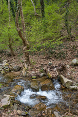 Waterfall at Crazy Mary River, Belasitsa Mountain, Bulgaria