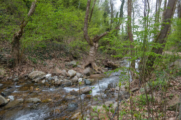 Waterfall at Crazy Mary River, Belasitsa Mountain, Bulgaria