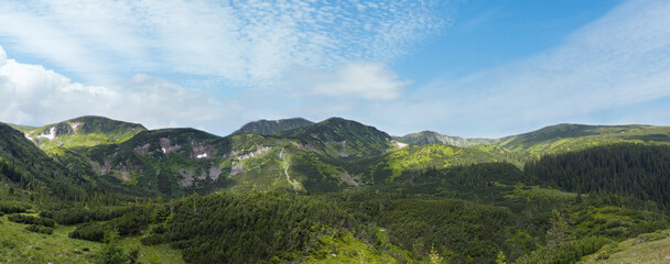 Mountain panorama view with juniper forest and snow remains on ridge in distance. Carpathian mountains, Ukraine.