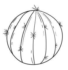 Hand Draw Cactus, Line Art