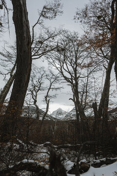 Ushuaia 