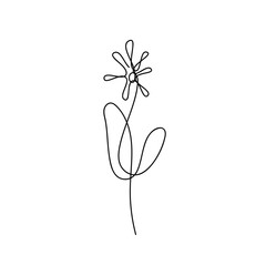 Continuous Line Drawing Flower. Doodle Sketch. Floral One Line Illustration. Minimal illustration from thin black line for tattoo or logo. Vector EPS 10.