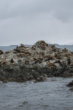 Ushuaia 