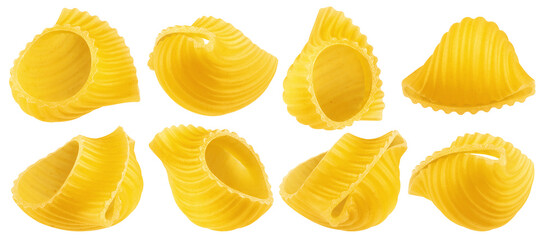 raw Pipe Rigate, uncooked Italian Pasta, isolated on white background, full depth of field