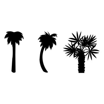 Palm tree silhouettes isolated on the white background