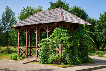 Wooden gazebo in backyard or in summer garden. Summerhouse pergola summerhouse entwined with vine...