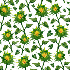 sunflower young bud seamless pattern watercolor illustration