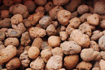 Expanded clay. small lumps of clay used in construction and for growing plants.