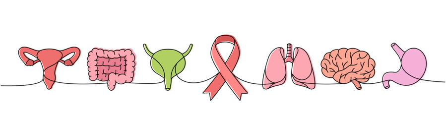 Reproductive system, intestines, bladder, lungs, stomach, brain one line colored illustration. Cancer ribbon continuous one line colorful illustration