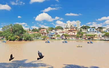 Guarulhos, Sao Paulo, Brazil - April 17, 2023.  Panoramic view of the birds in the fly and houses. Located in the city of Guarulhos.