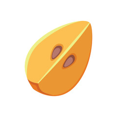 Fresh cut slice persimmon fruit isolated on white background. Fruit for healthy lifestyle. Organic fruit. Cartoon style. Vector illustration for any design.