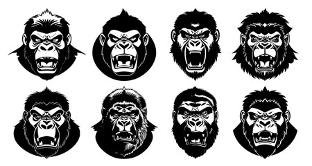 Set of gorilla heads with open mouth and bared fangs, with different angry expressions of the muzzle. Symbols for tattoo, emblem or logo, isolated on a white background.