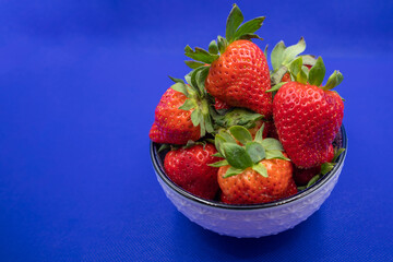 Bowl with many strawberries, on a vibrant blue background.