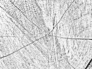 Unique, natural grunge texture featuring a cross-section of a tree with cracks and concentric circles. Monochrome, organic background ideal for vintage, rustic, and abstract designs