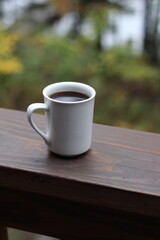 Clicking coffee cups at the cabin on the lake. Northern Minnesota. 