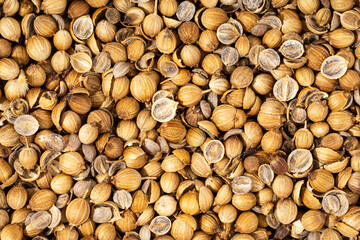 Organic Dried coriander seeds Coriandrum sativum closeup background texture. Additive ingredient for the preparation of delicious delicacies. Top view, Spicy food concept
