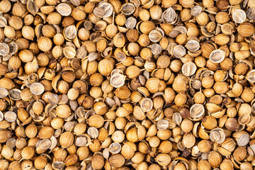 Organic Dried coriander seeds Coriandrum sativum closeup background texture. Additive ingredient for the preparation of delicious delicacies. Top view, Spicy food concept