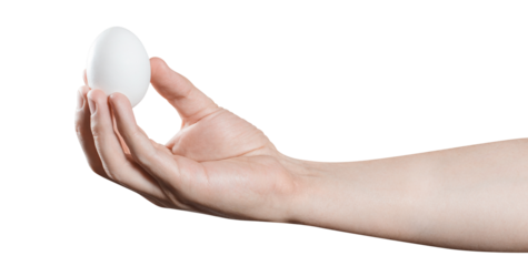 Hand holding an egg, cut out