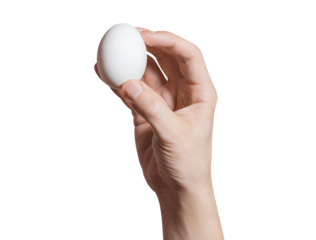 Hand holding an egg, cut out