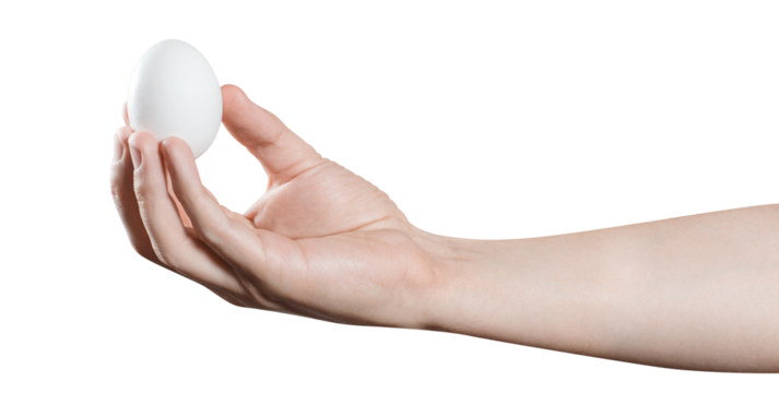 Hand holding an egg, cut out - Powered by Adobe