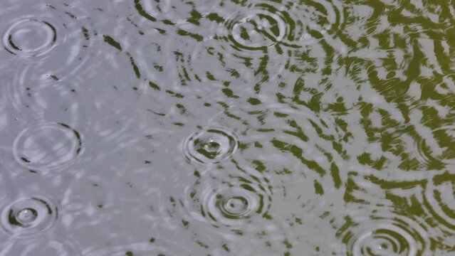 raindrops fall into the water,slow motion,raindrops create small waves on the water surface,