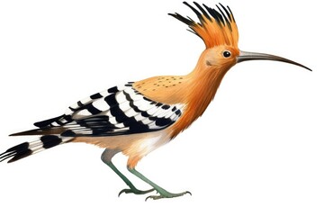an exotic bird with vibrant orange feathers and distinct black and white stripes. Generative AI