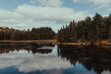 Soft clouds above a forest reflection